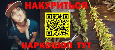 кокс Гатчина