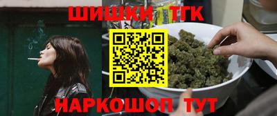 кокс Гатчина
