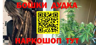 кокс Гатчина
