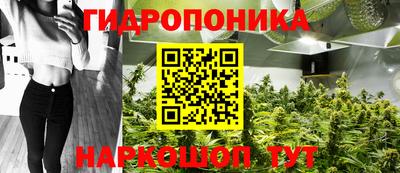 spice Гагарин
