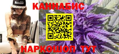 гидра Гай