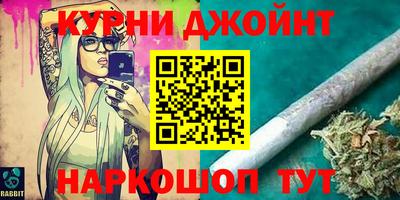 гидра Гай