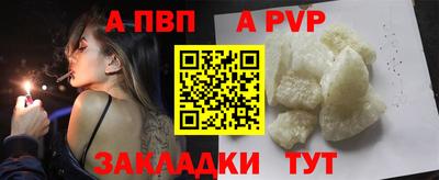 кокс Гатчина