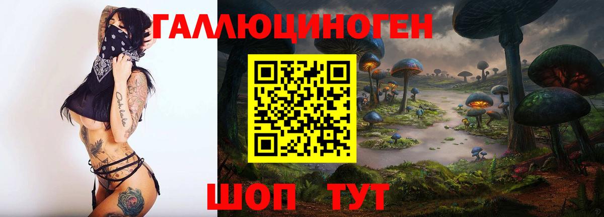 Ноябрьск  Галлюциногенные грибы Psilocybine cubensis  Вход с VPN 